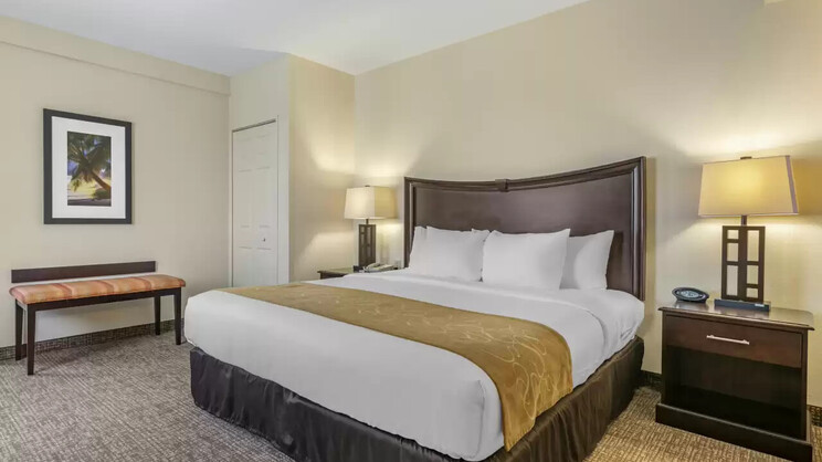 Comfort Suites Maingate East